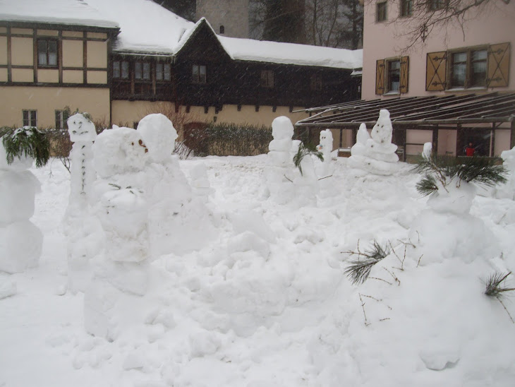 Internat Schloß Leopoldstein