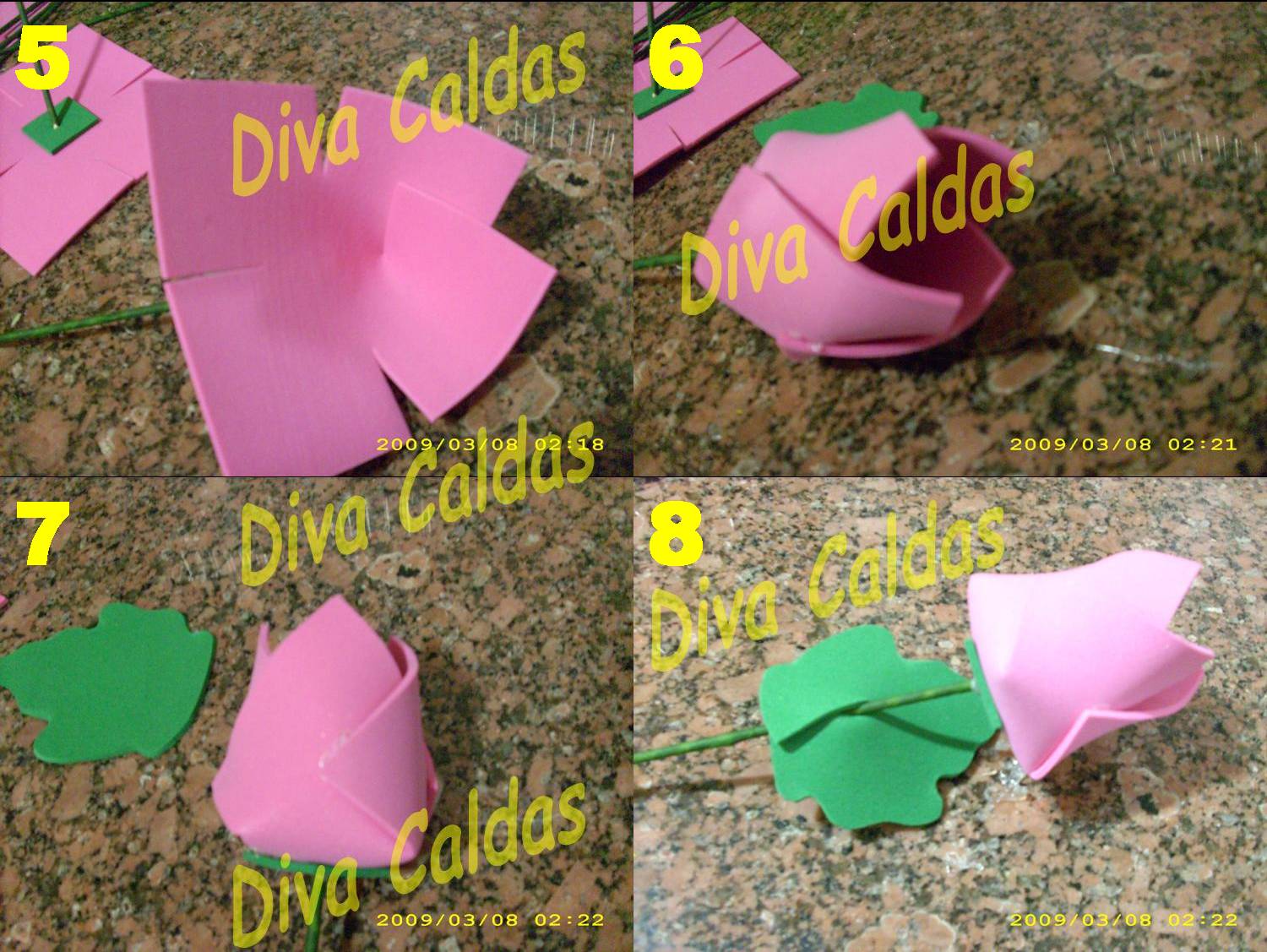 [flor+-+dia+da+mulher+3.jpg]