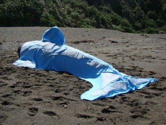 [dysonstranded+Whale+full.JPG]