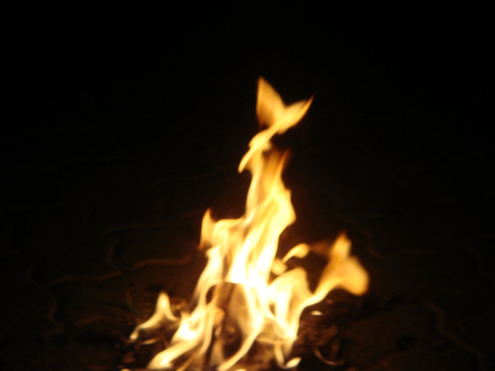 [DSC00540.JPG]