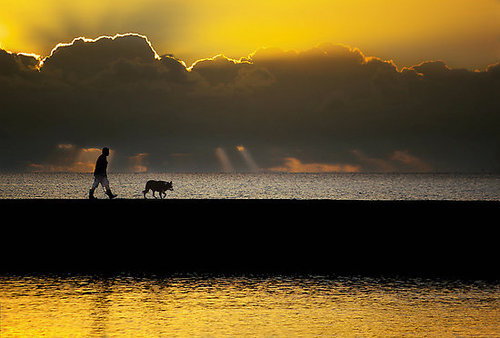 [friends+by+the+sea.jpg]