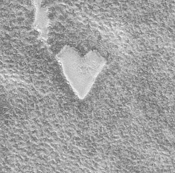 [heart-on+Mars.gif]