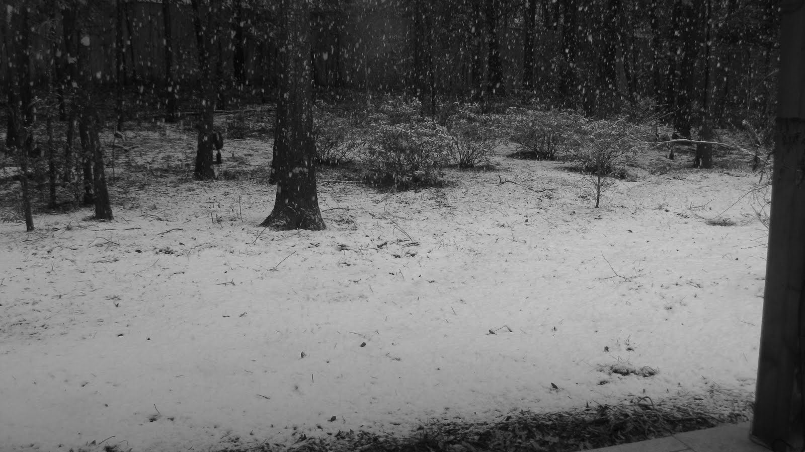 [snow+001.JPG]