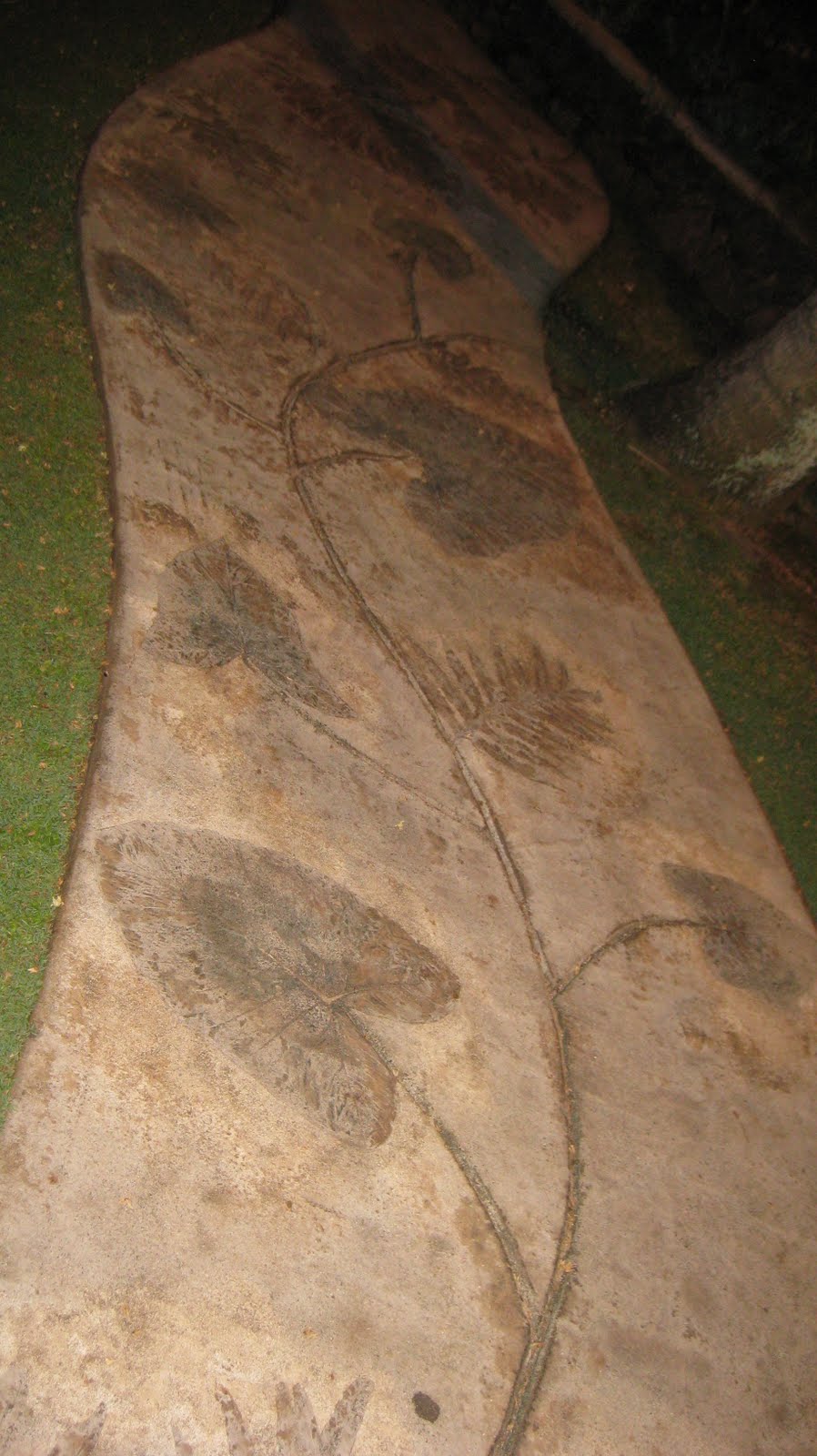 [MAUI++3-14-10+188.JPG]