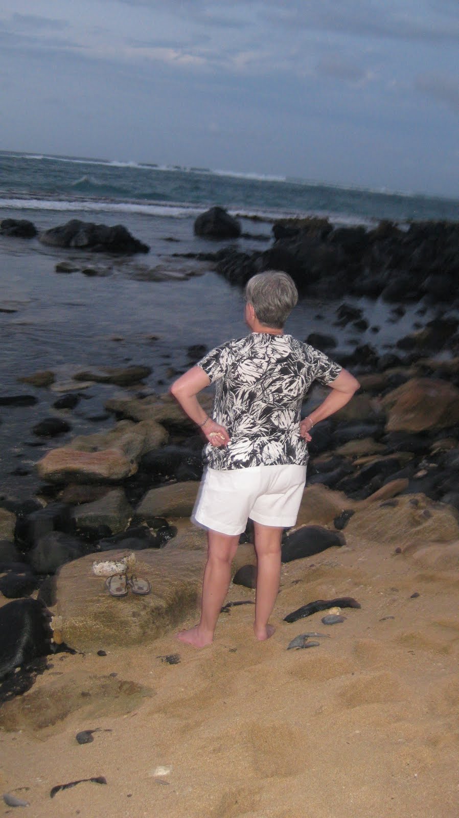[MAUI++3-14-10+168.JPG]