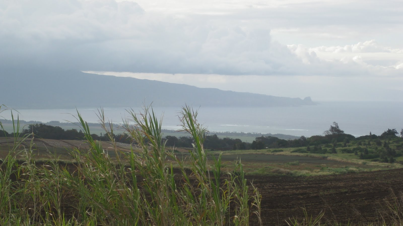 [MAUI++3-14-10+120.JPG]