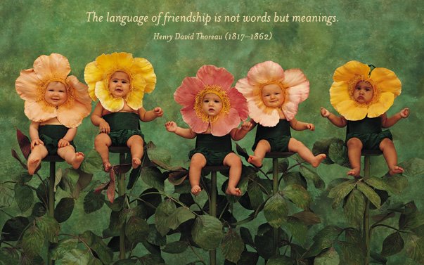 [friendship1.bmp]