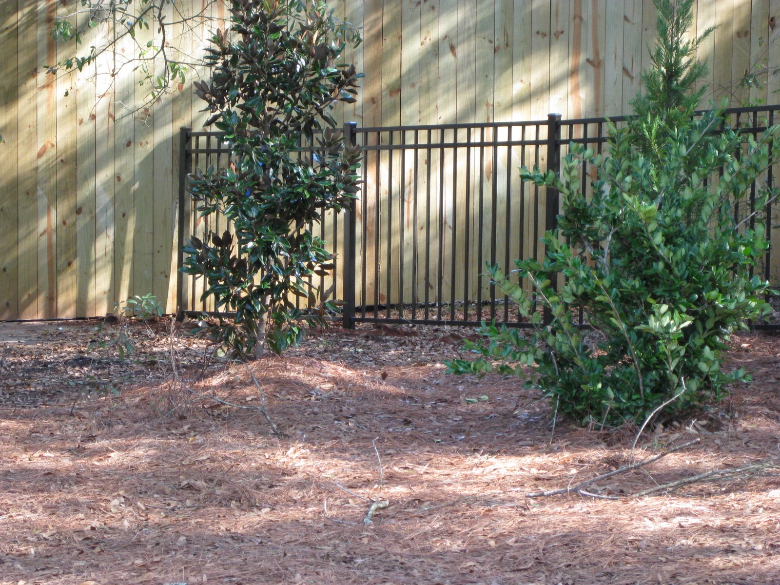 [FENCE+09+001.JPG]