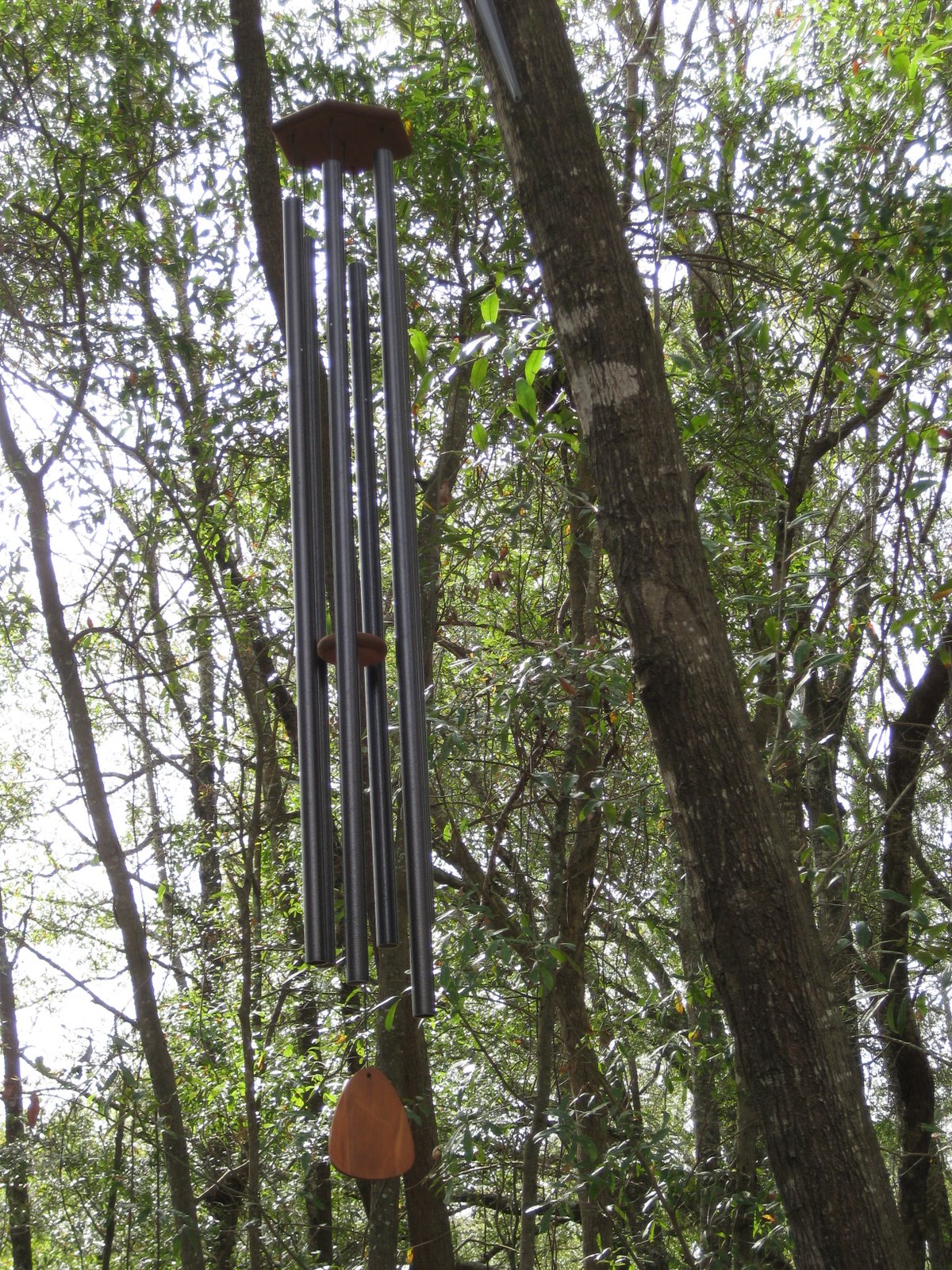 [wind+chimes+001.JPG]