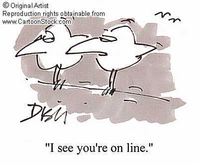 [bird+on+wire1.jpg]