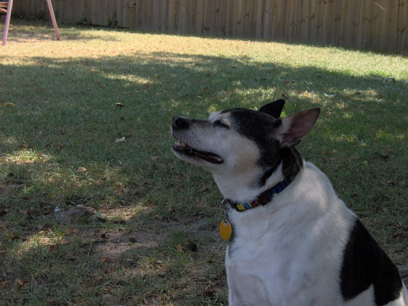 [scooter++08+012.JPG]