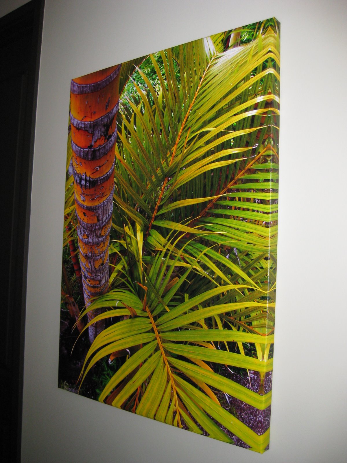 [CREEK+HOUSE+3-17-09+003.JPG]