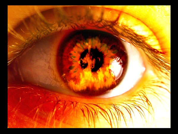 [eye.bmp]