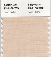 [2006+sand+dollar.jpg]