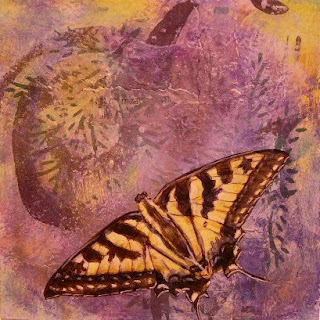 swallowtail butterfly, for sale on wildlife page