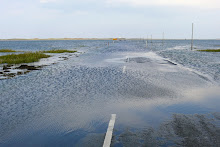 Lindisfarne Causeway