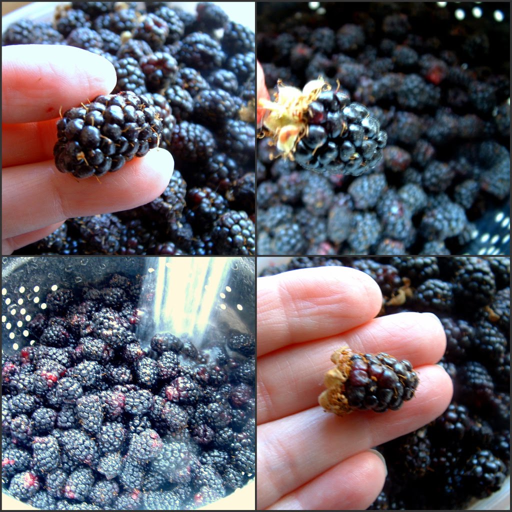 How to Make an Olallieberry Pie and a Perfect Butter Pie Crust A