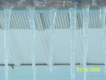 icicles!