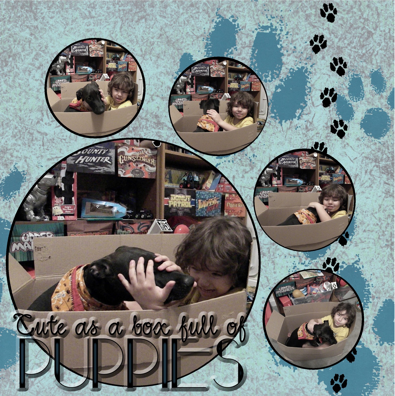 Crickitt's Crazy Creations Box of Puppies