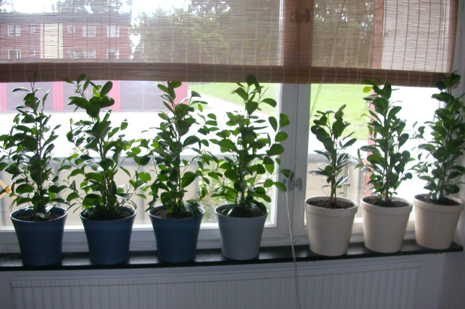 [DSCN9842-2.JPG]