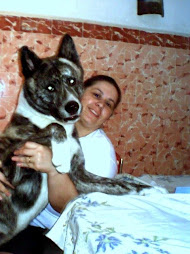 Tora meu filho Akita
