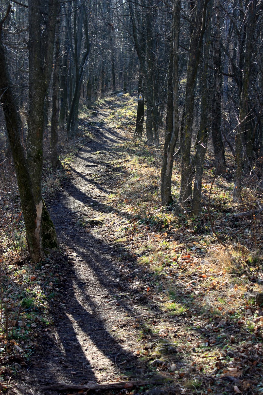 [2010-01-09+(103).JPG]