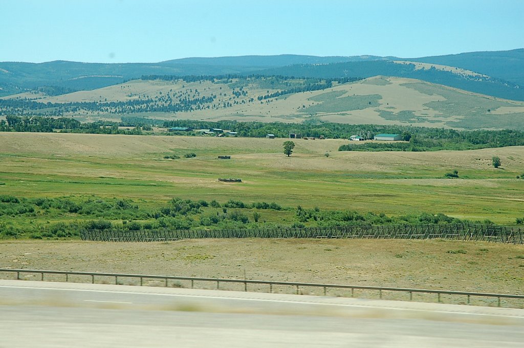 [DSC_3795.JPG]