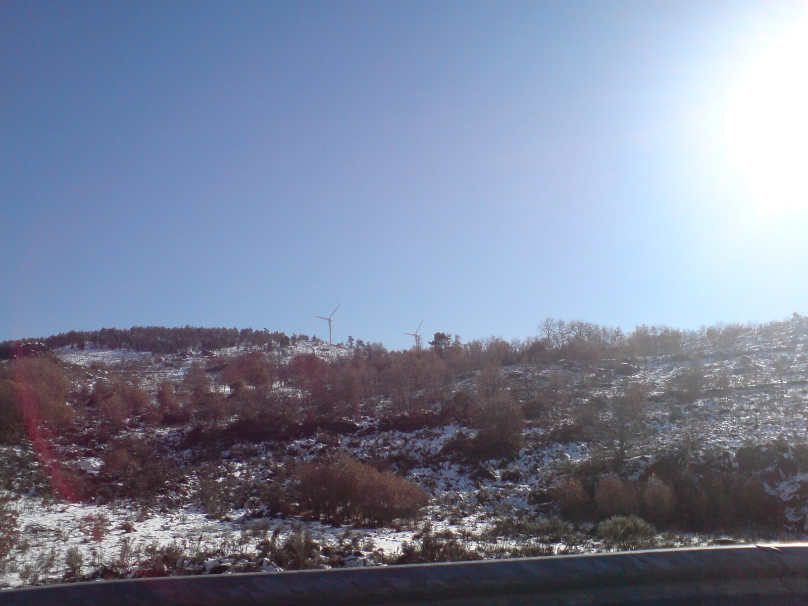 [DSC05989.JPG]
