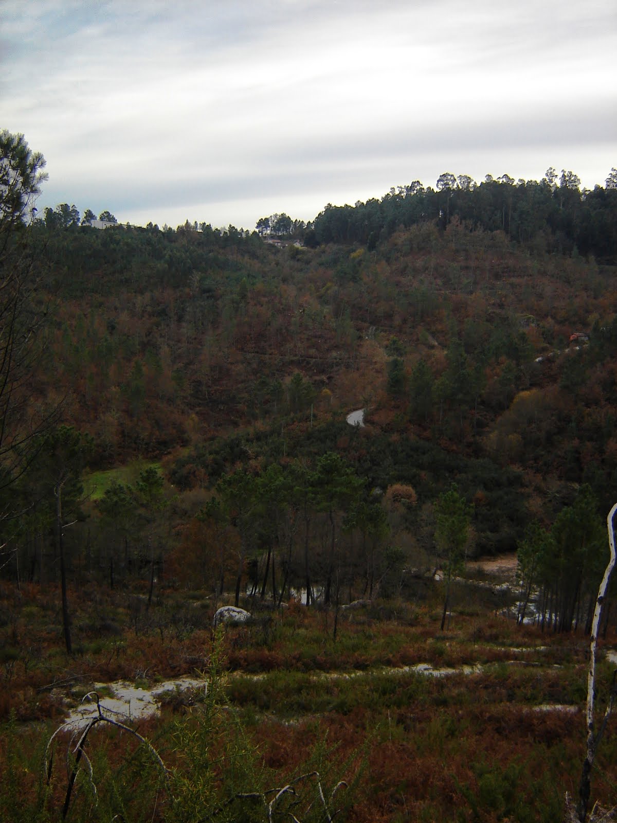 [DSC05460.JPG]