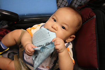 A modest proposal summary of each paragraph image