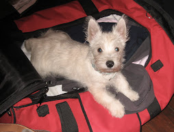 Bengy. Guard dog.