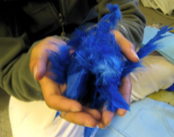[feathers.JPG]