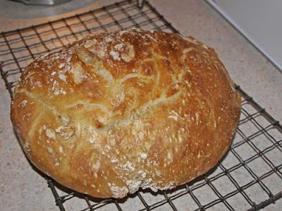 Fresh from the Oven - No Knead Bread