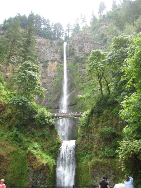 [waterfall]