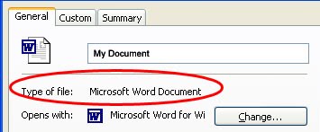why wont my word document open