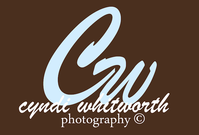 photos by cyndi