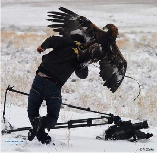 [respect_nature_19.jpg]