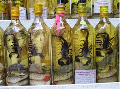Snake Wine Seen On CoolPictureGallery.blogspot.com Or www.CoolPictureGallery.com