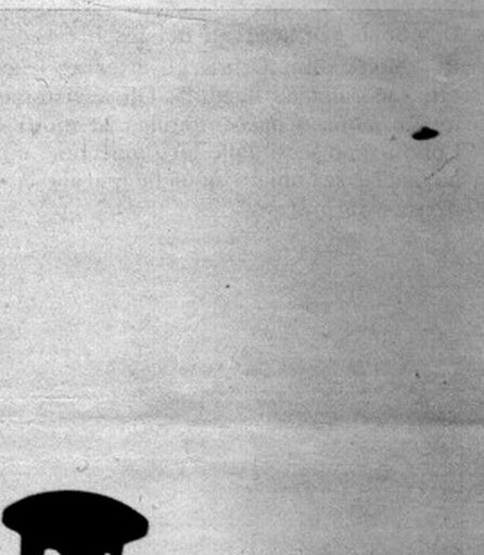 [ufo-pictures-57.jpg]