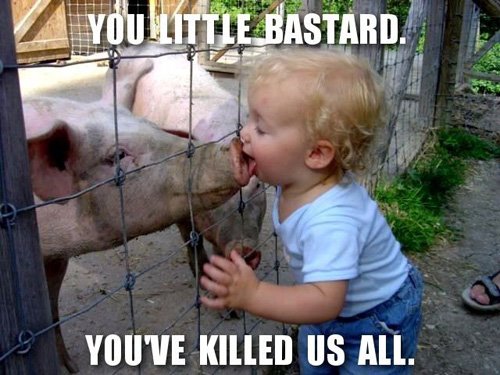 [swine-flu-kid.jpg]
