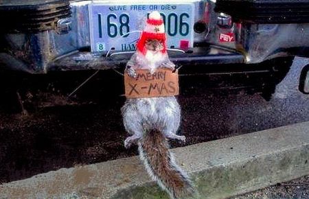 [redneck_christmas_25.jpg]