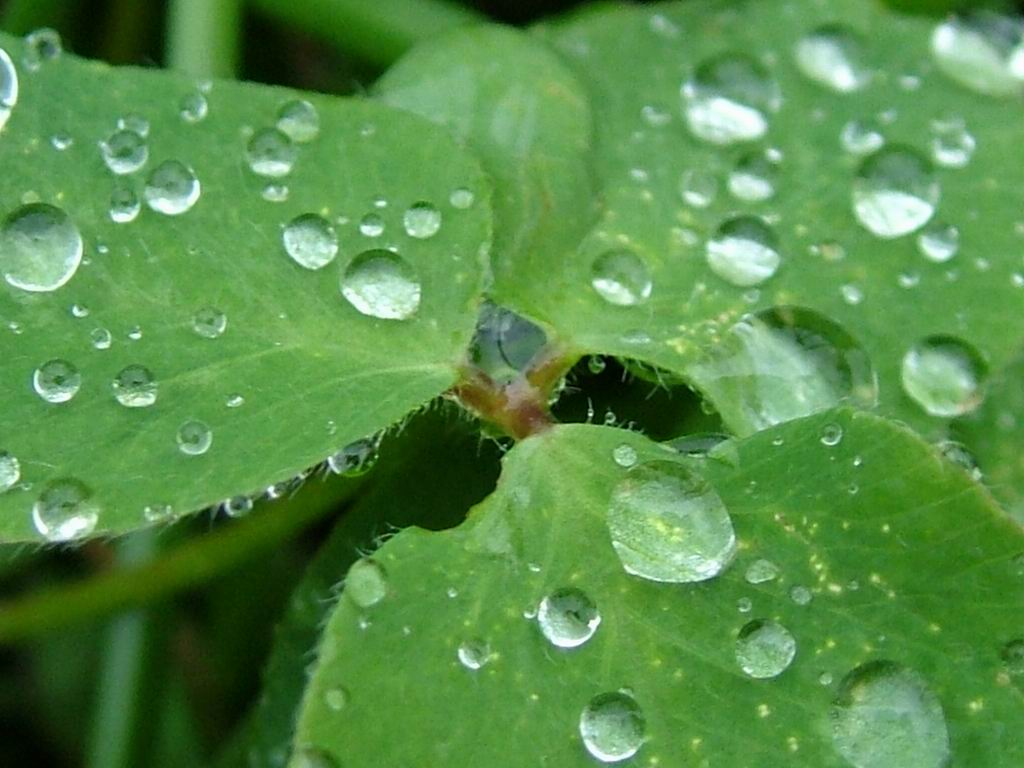 [rain-drops-solar-system.jpg]