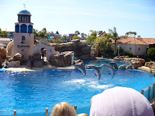 The Dolphin Show.
