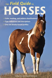 Our latest book on horses