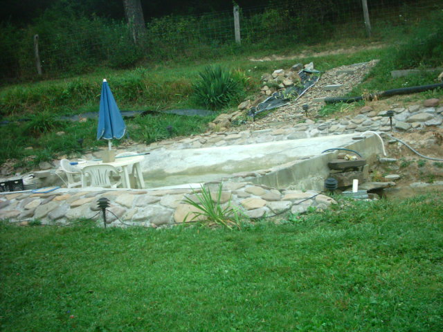 Our Pond