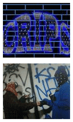 crip knowledge gang, los angeles