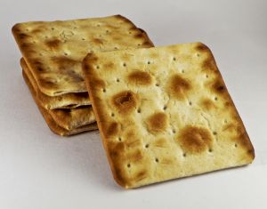 [cream_crackers.jpg]