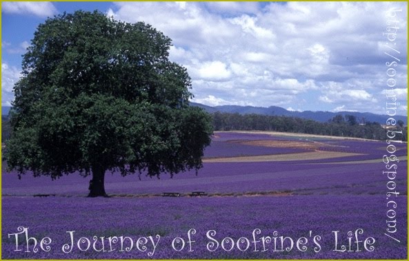 ♥ All About Soofrine ♥