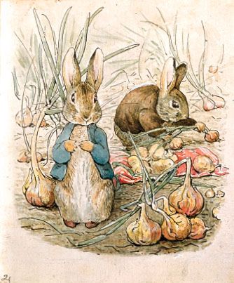 Los clasicos conejitos de Beatrix Potter