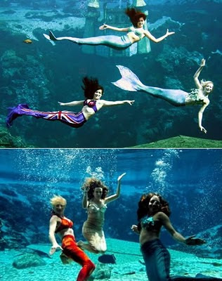 3 mermaid 9 Tempat Liburan Teraneh di Dunia